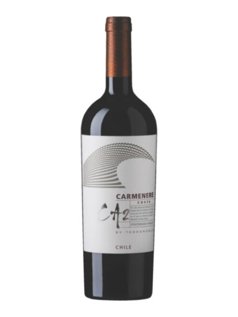TERRA NOBLE CA2 CARMENERE